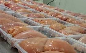 شینسل آماده مرغ به چه صورت بسته بندی می شود ؟ چند نوع شینسل اماده مرغ داریم ؟