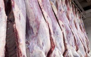 عوامل تعیین کننده قیمت گوشت گوساله منجمد 